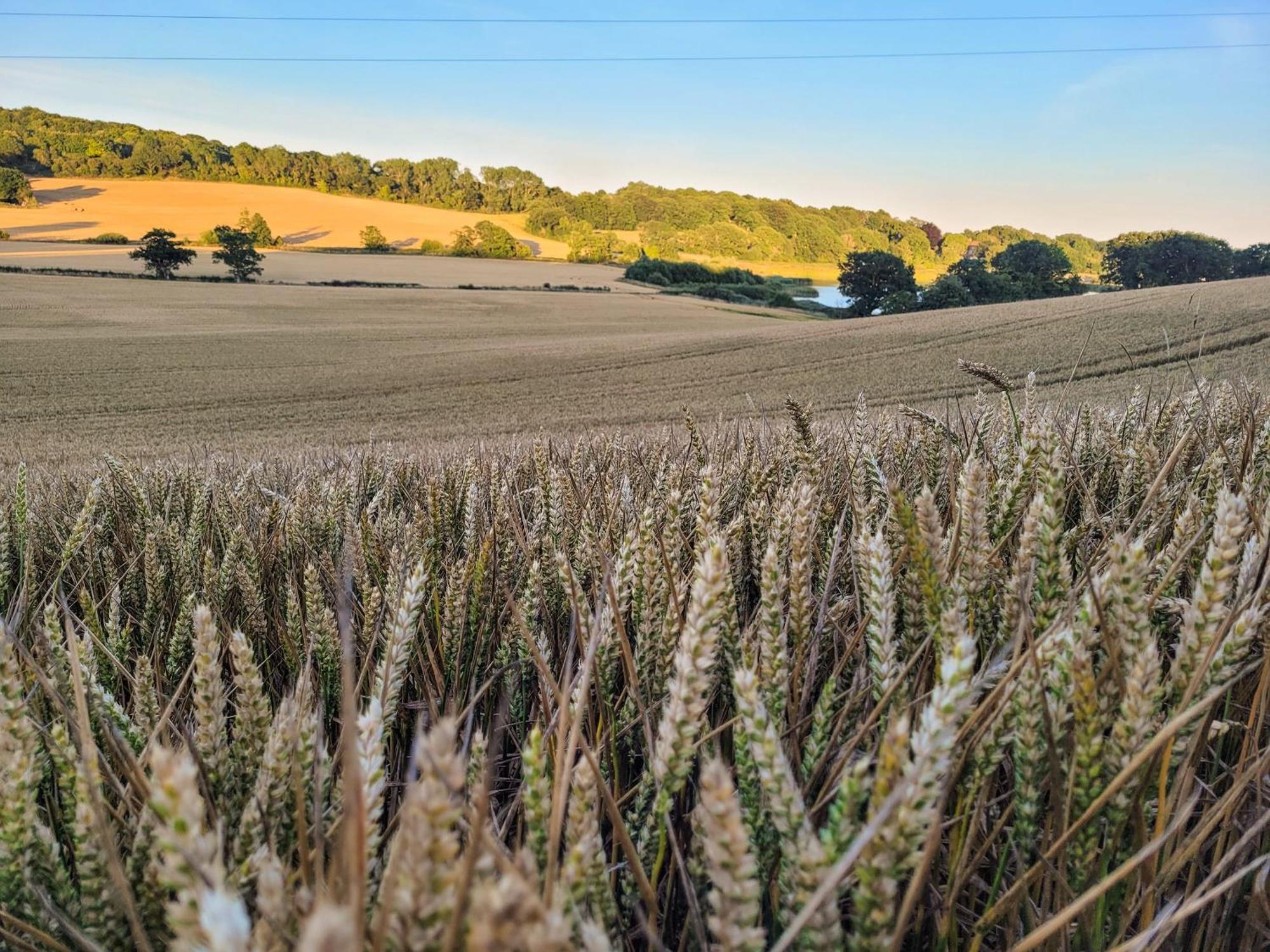 Hayfield Haven-Uk40691 Villa Crowhurst  ภายนอก รูปภาพ