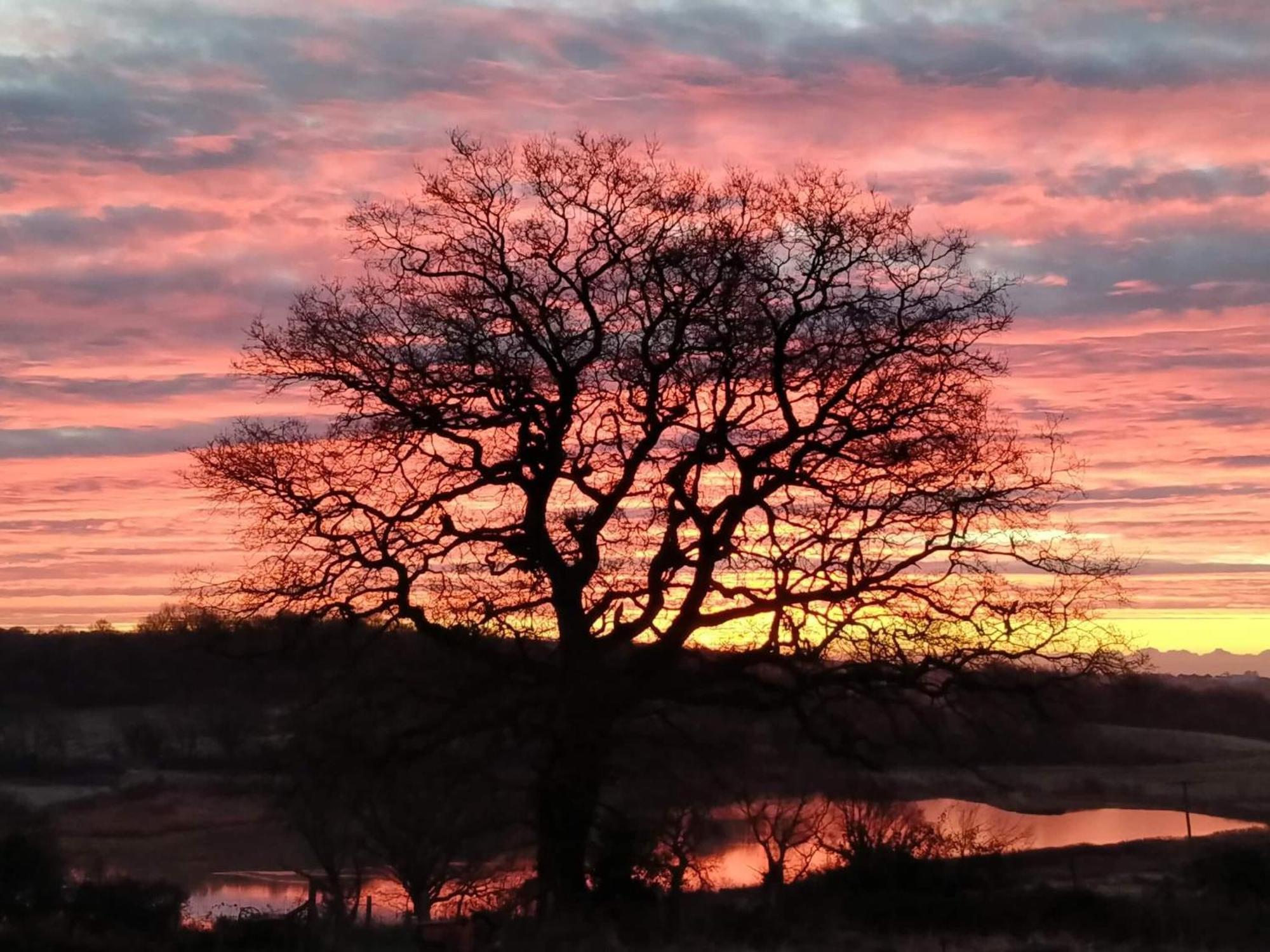 Hayfield Haven-Uk40691 Villa Crowhurst  ภายนอก รูปภาพ